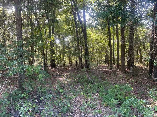 1.54 Acres of Land for Sale in Georgetown, Georgia