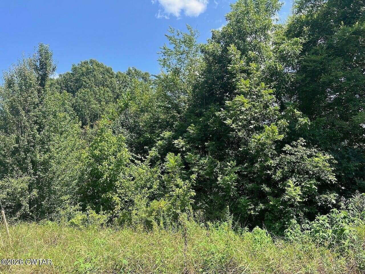 Land for Sale in Henderson, Tennessee