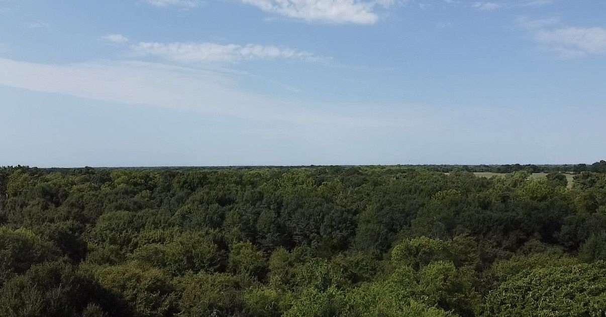 68.8 Acres of Land for Sale in Terrell, Texas