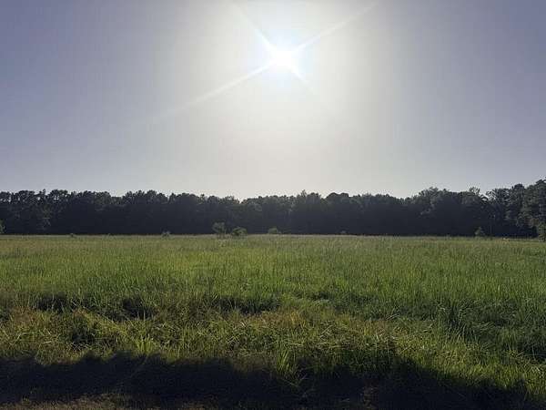 1.34 Acres of Residential Land for Sale in Picayune, Mississippi