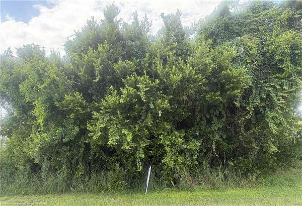 1.5 Acres of Commercial Land for Sale in Avon Park, Florida