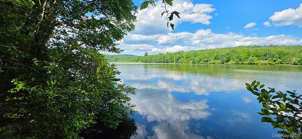 1.5 Acres of Residential Land for Sale in Swan Lake, New York