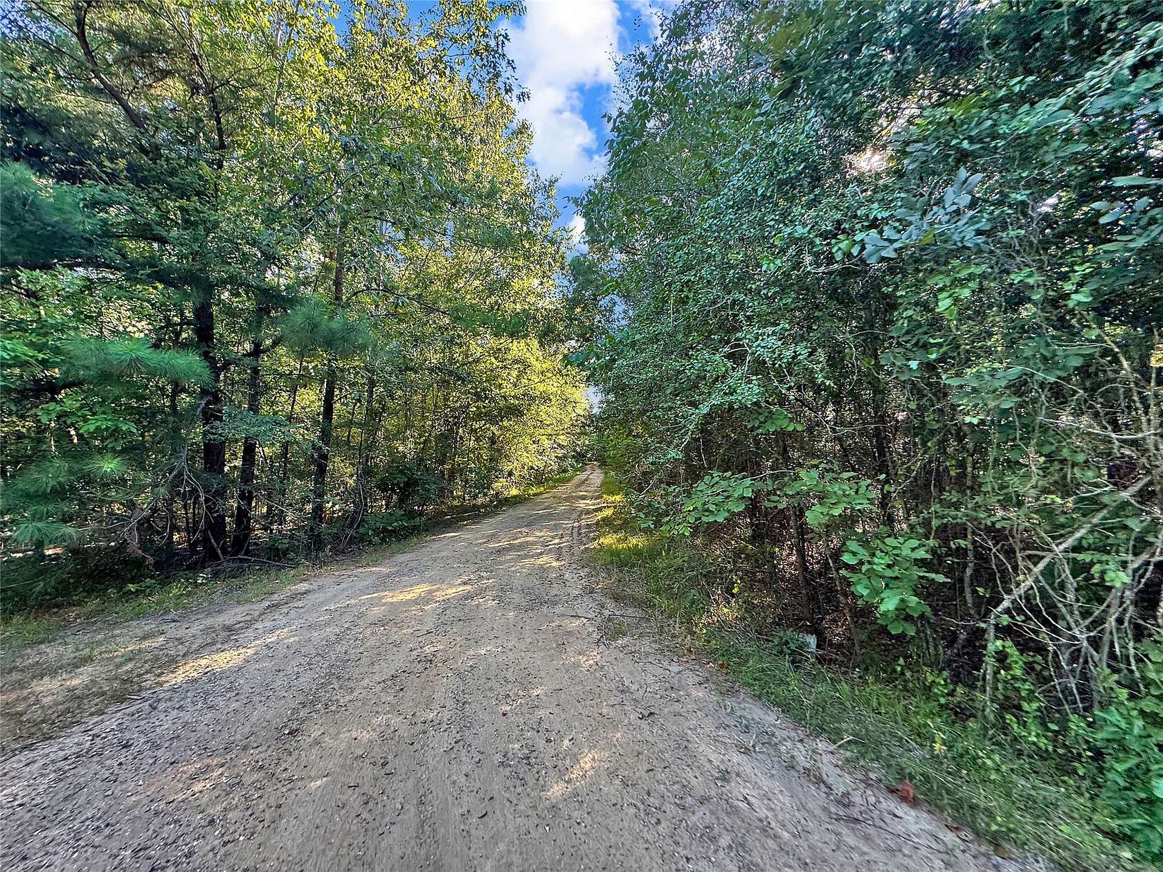 56 Acres of Recreational Land for Sale in Bogata, Texas