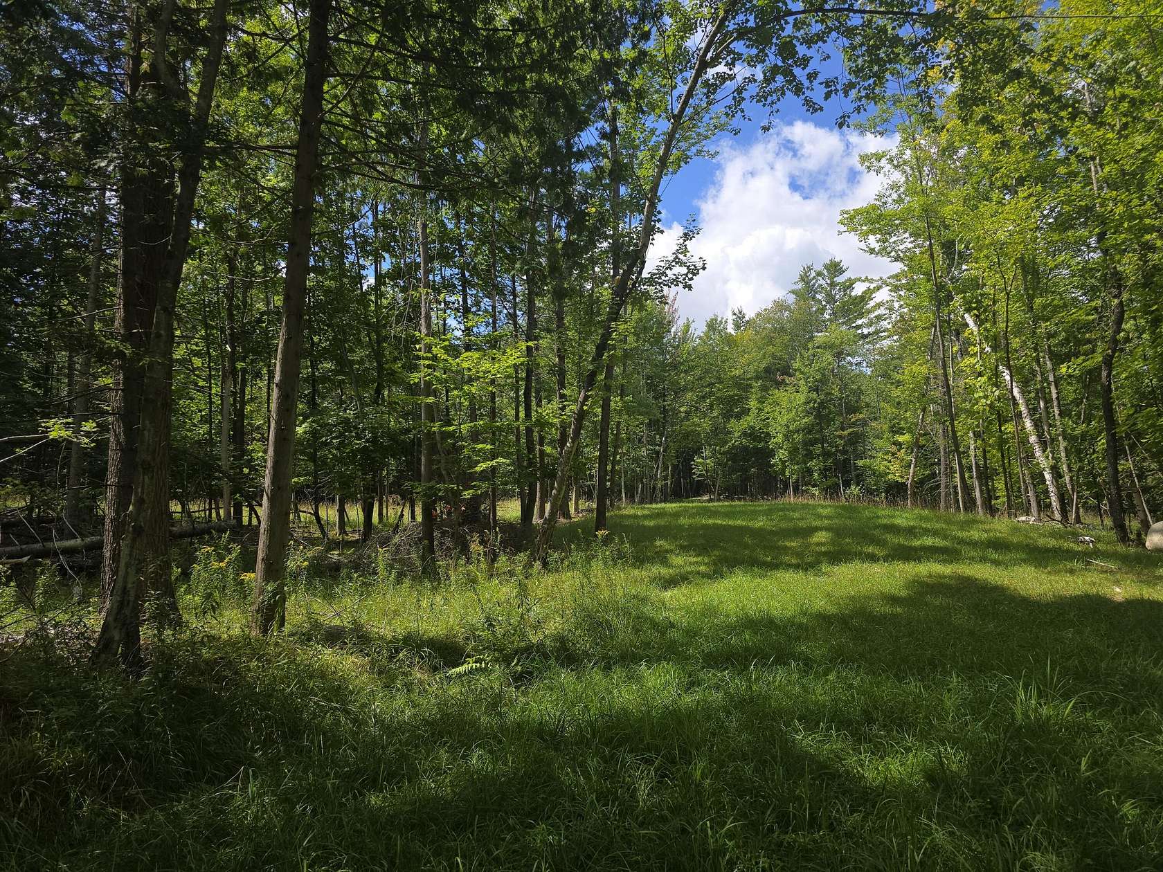 40 Acres of Recreational & Residential Land for Sale in Jay, New York