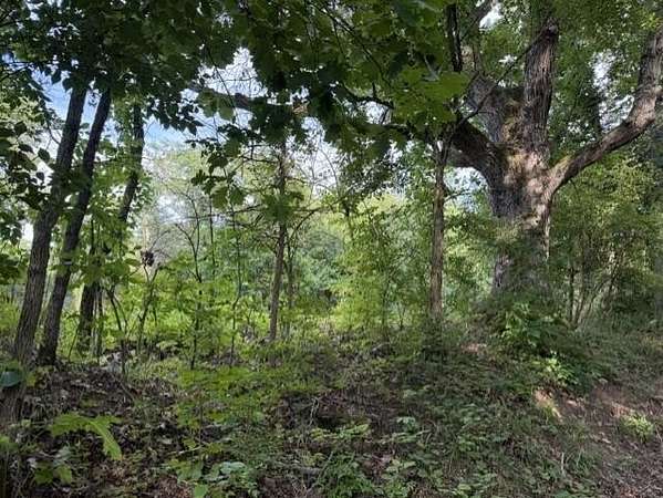 18.1 Acres of Recreational Land for Sale in Brooksville, Kentucky