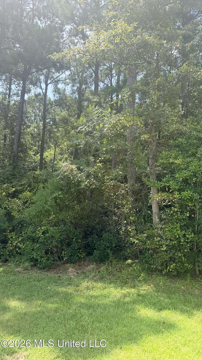 7.4 Acres of Residential Land for Sale in Ocean Springs, Mississippi