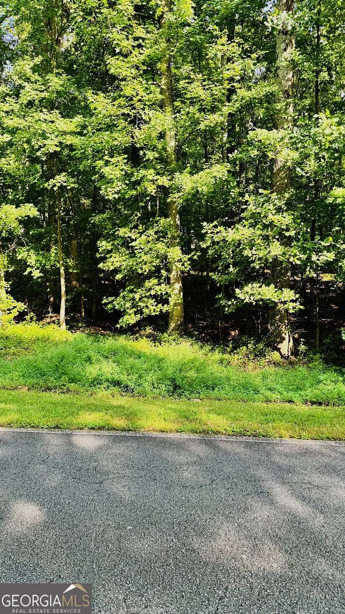 0.31 Acres of Residential Land for Sale in Villa Rica, Georgia