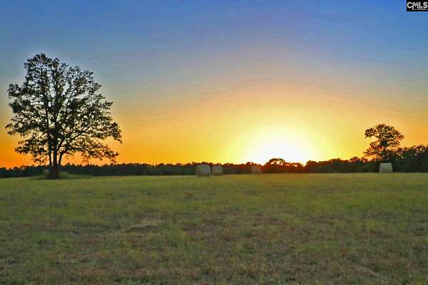 260 Acres of Land for Sale in Wagener, South Carolina