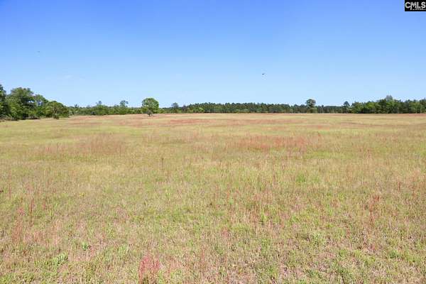 260 Acres of Land for Sale in Wagener, South Carolina