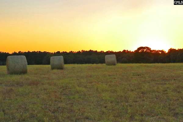260 Acres of Land for Sale in Wagener, South Carolina