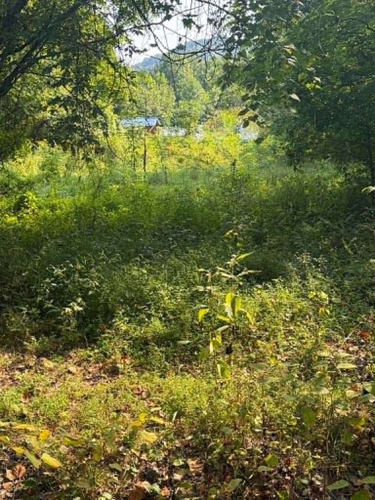 1.5 Acres of Residential Land for Sale in Printer, Kentucky