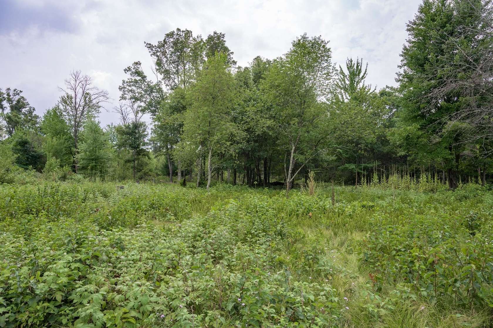 2.18 Acres of Residential Land for Sale in Necedah, Wisconsin