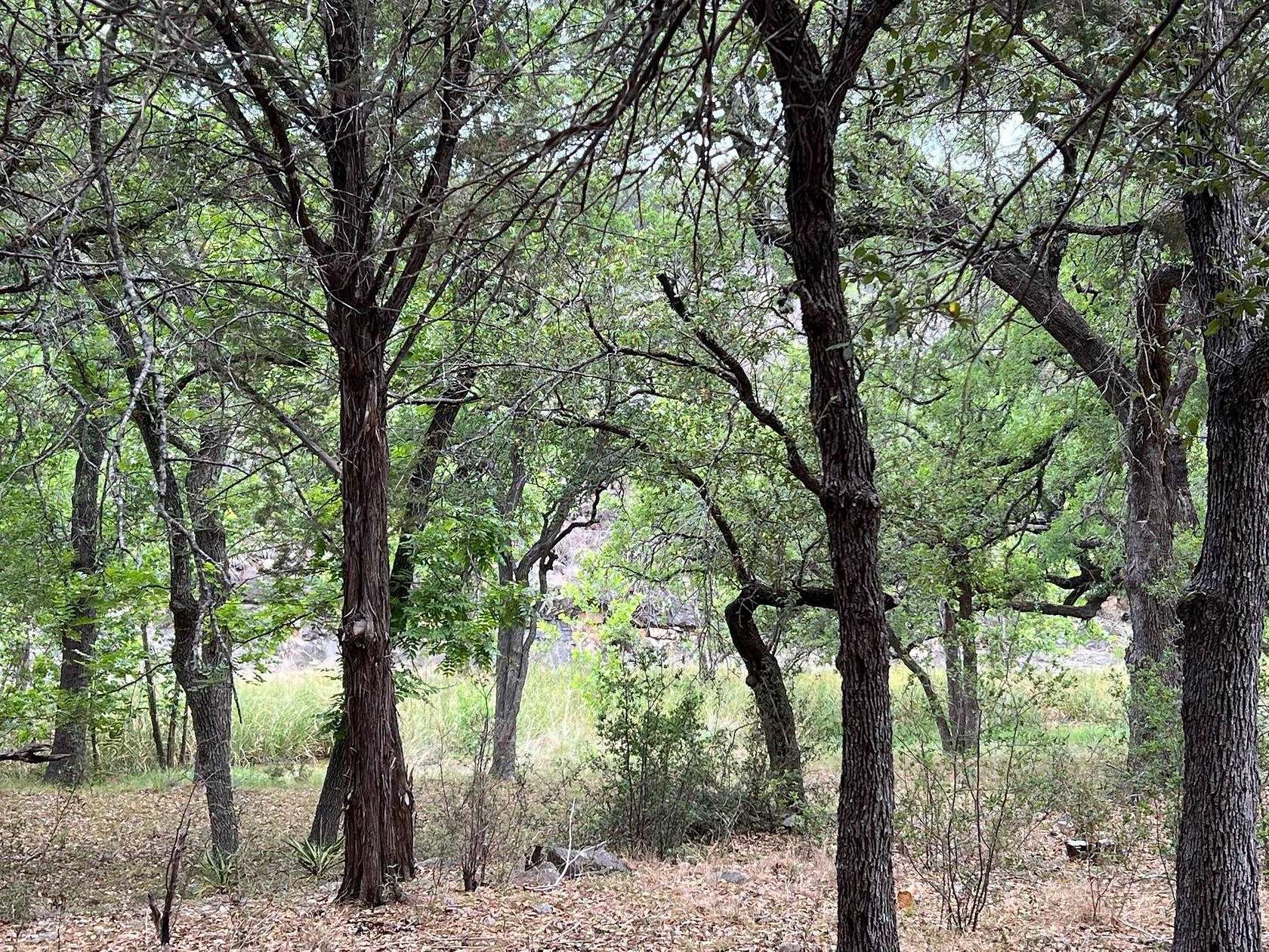 0.65 Acres of Residential Land for Sale in Horseshoe Bay, Texas