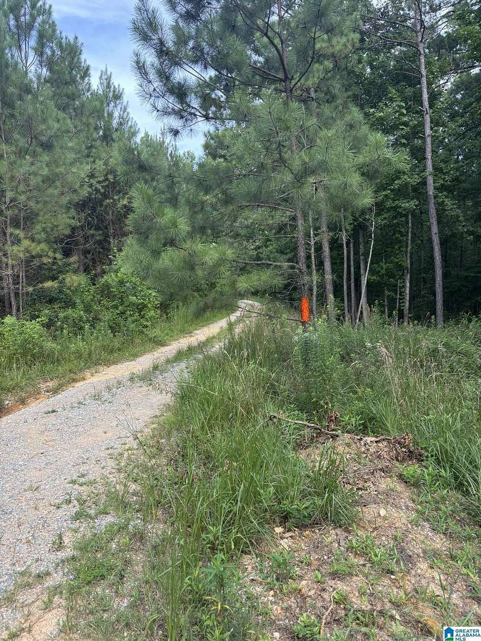 11 Acres of Recreational Land for Sale in Talladega, Alabama