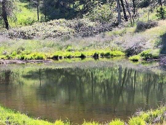 75.7 Acres of Land for Sale in Platina, California