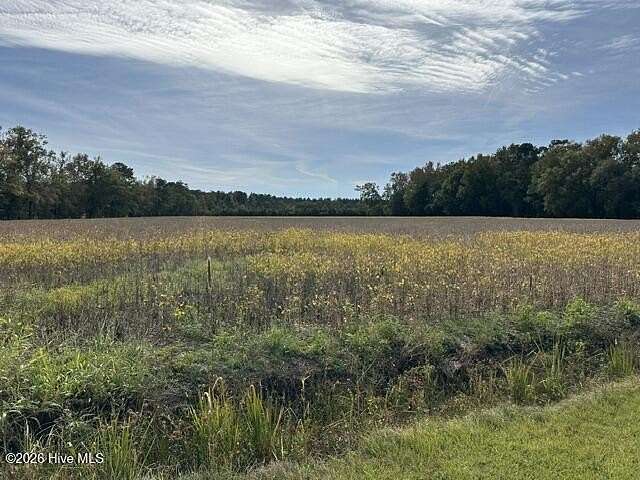 89.5 Acres of Recreational & Residential Land for Sale in Chadbourn, North Carolina