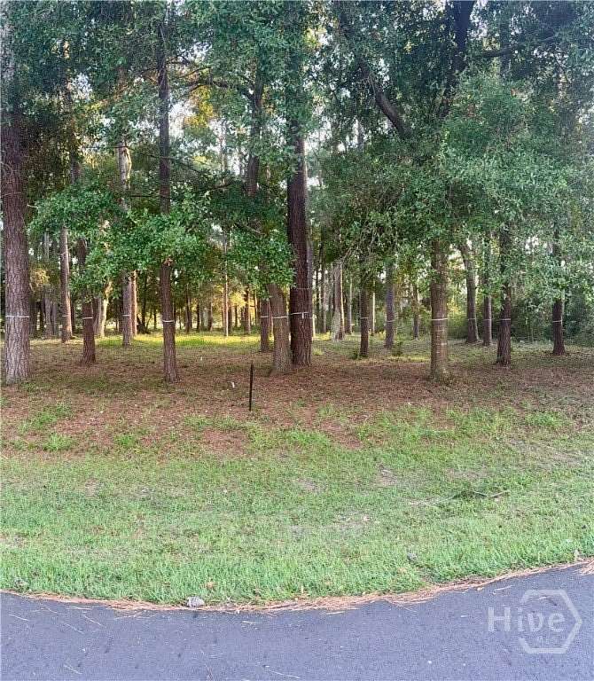1.5 Acres of Residential Land for Sale in Townsend, Georgia