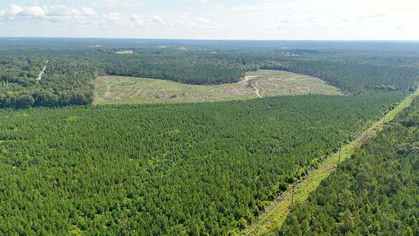 257 Acres of Land for Sale in Burnettown, South Carolina