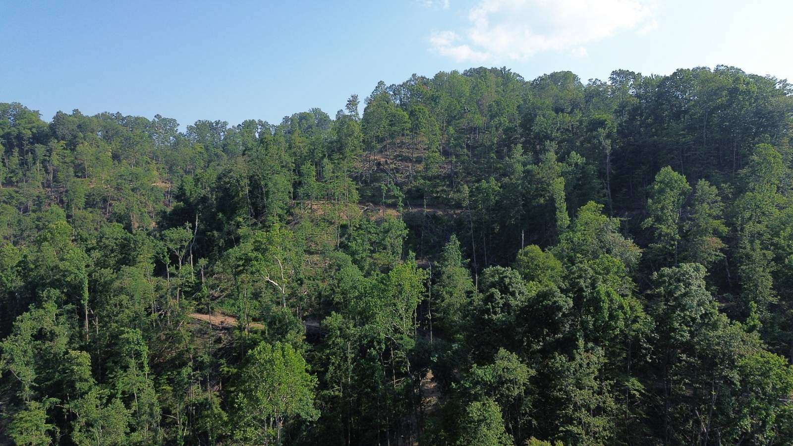 89 Acres of Recreational Land for Sale in Ansted, West Virginia