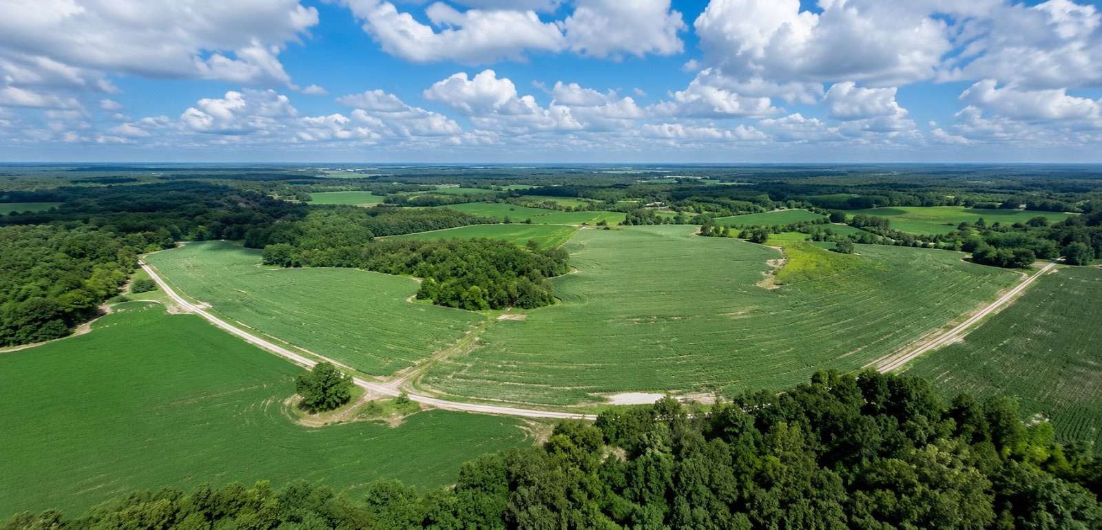 186 Acres of Land for Auction in Warwick, Georgia