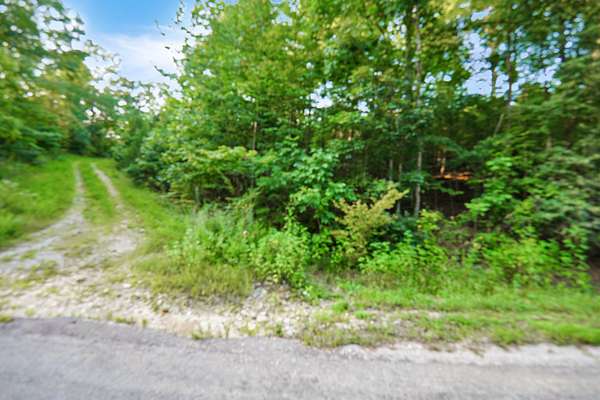 15.5 Acres of Recreational & Residential Land for Sale in Dover, Tennessee