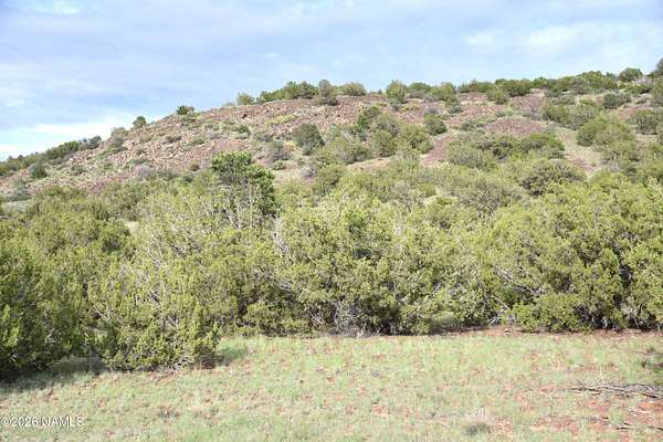36.6 Acres of Land for Sale in Williams, Arizona