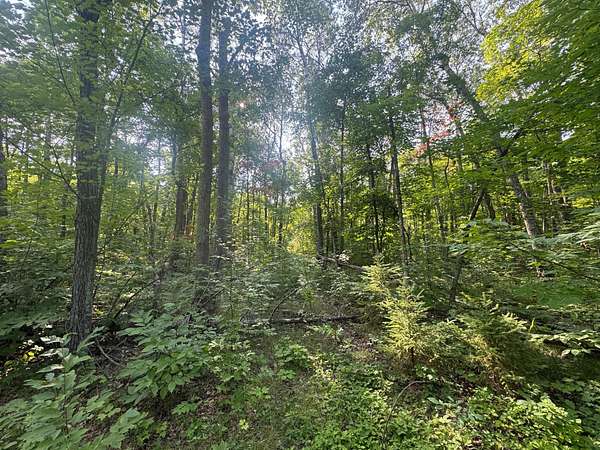 3.19 Acres of Land for Sale in Akeley, Minnesota