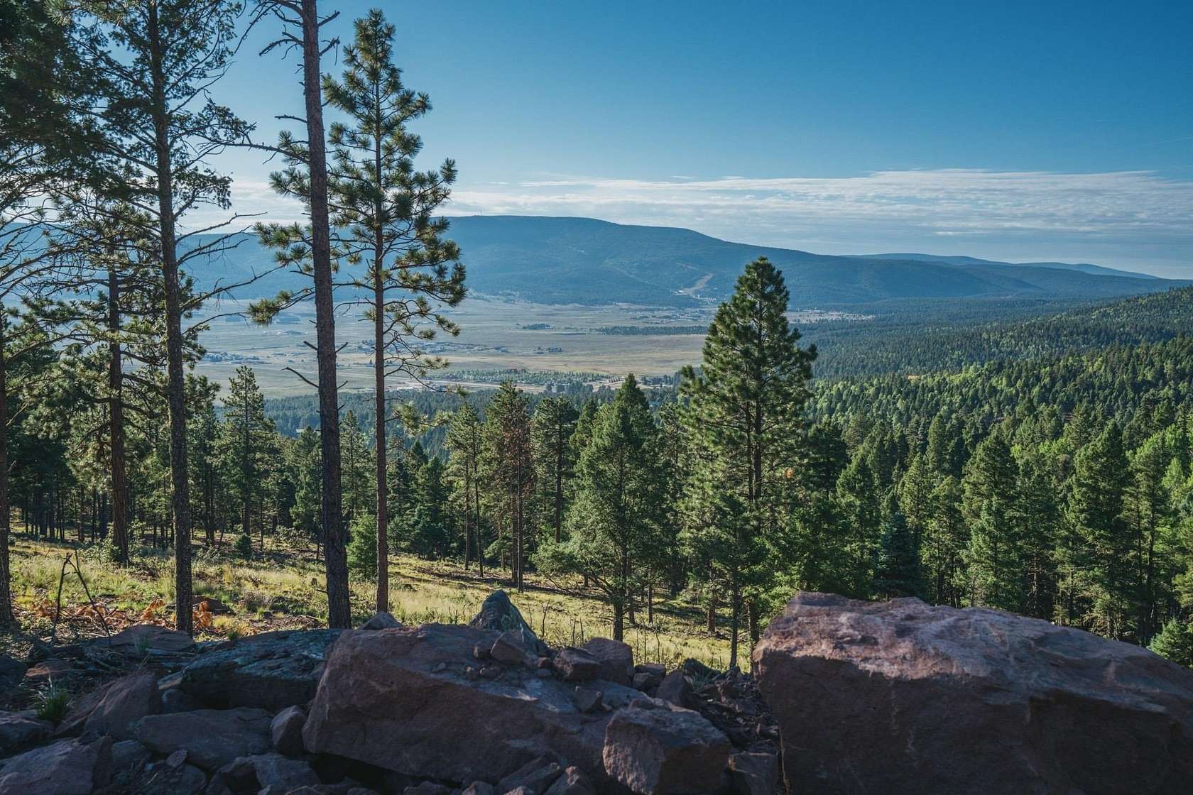 13.3 Acres of Agricultural Land for Sale in Angel Fire, New Mexico