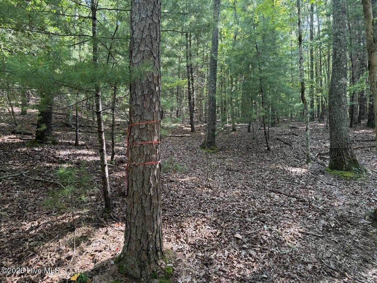 1.2 Acres of Residential Land for Sale in Murphy, North Carolina