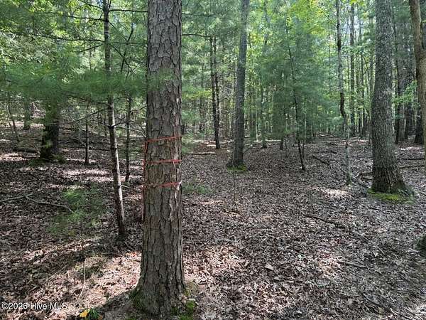 1.2 Acres of Residential Land for Sale in Murphy, North Carolina