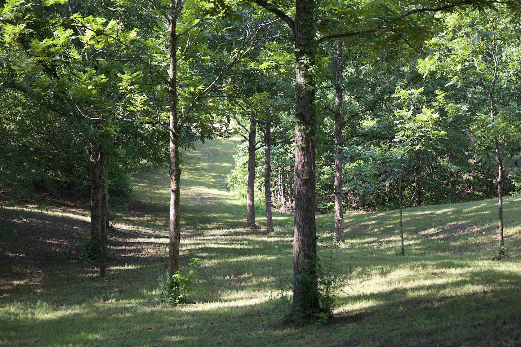 90 Acres of Land with Home for Sale in Waterford, Mississippi
