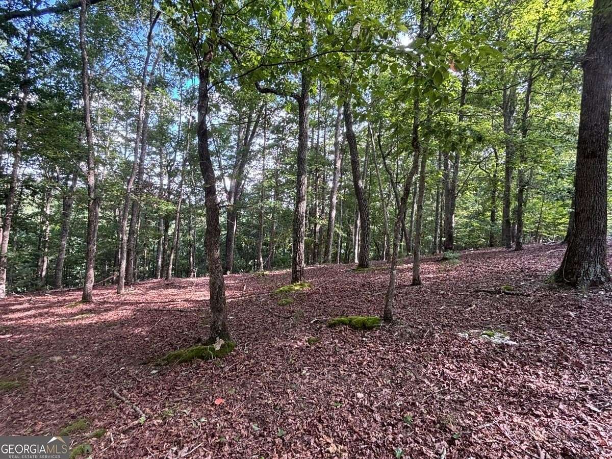 1.14 Acres of Residential Land for Sale in Blairsville, Georgia
