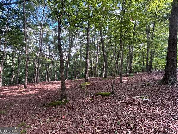 1.14 Acres of Residential Land for Sale in Blairsville, Georgia