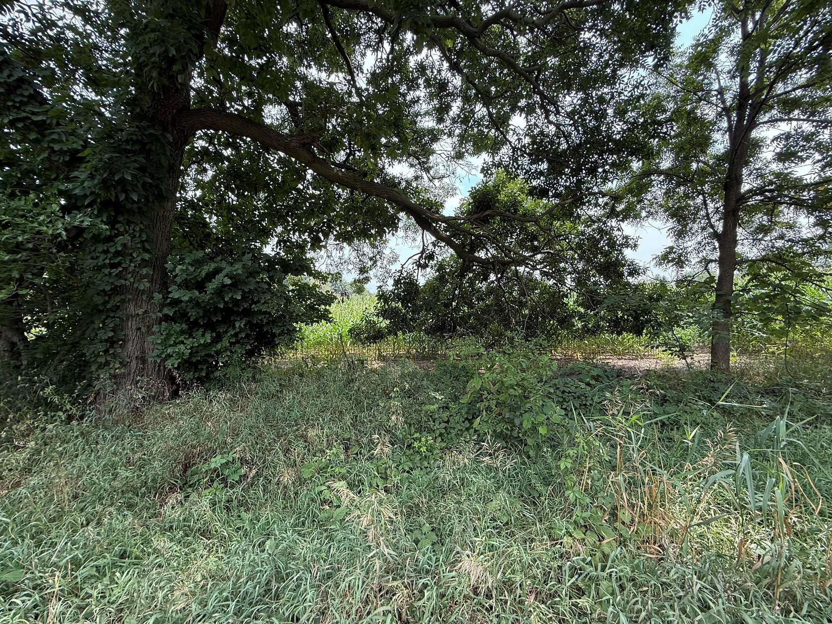 69.5 Acres of Land for Sale in Delton, Michigan
