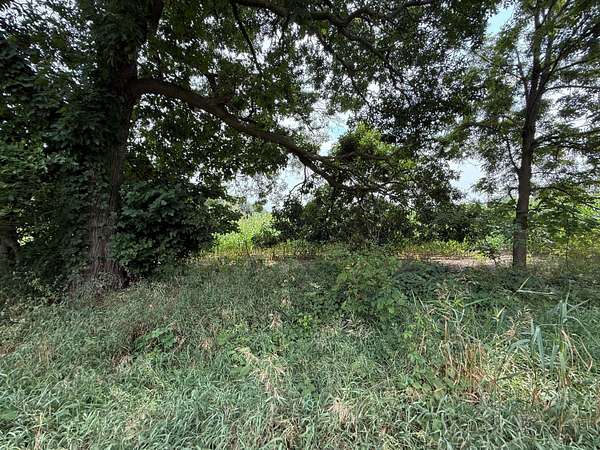 69.5 Acres of Land for Sale in Delton, Michigan