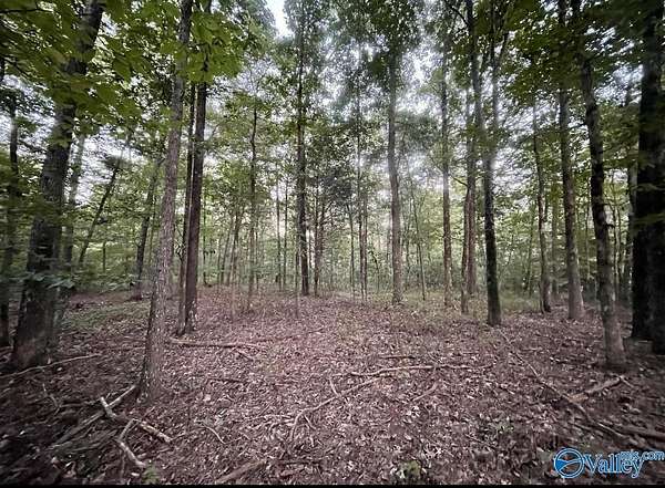 4 Acres of Land for Sale in Guntersville, Alabama