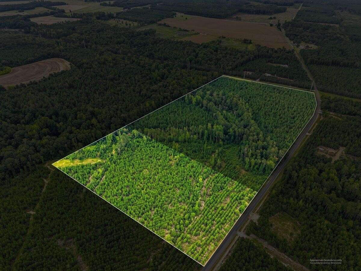 10 Acres of Recreational & Residential Land for Sale in Swansea, South Carolina