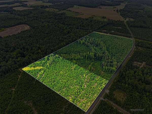 10 Acres of Recreational & Residential Land for Sale in Swansea, South Carolina