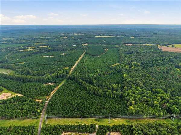 10 Acres of Recreational & Residential Land for Sale in Swansea, South Carolina