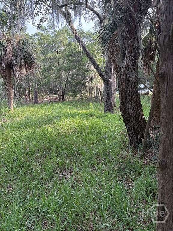 0.27 Acres of Land for Sale in Savannah, Georgia