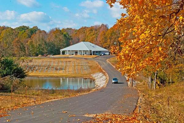 15 Acres of Land for Sale in Lakeland, Tennessee