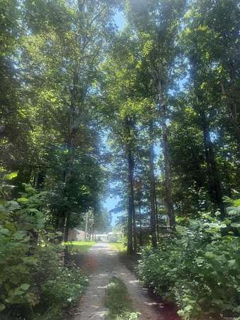 4 Acres of Residential Land for Sale in Lafe, Arkansas