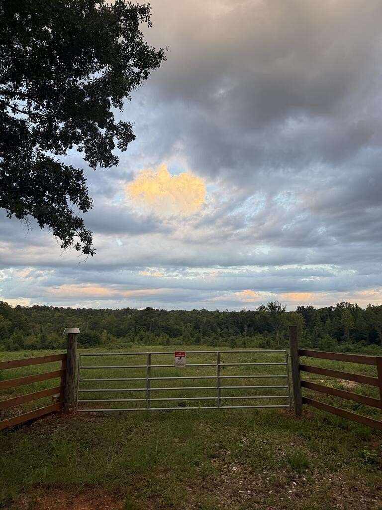 23.3 Acres of Land for Sale in Milledgeville, Georgia