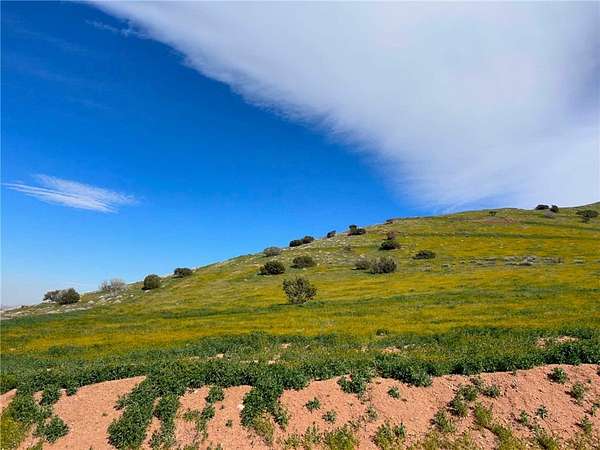 10.2 Acres of Land for Sale in Acton, California