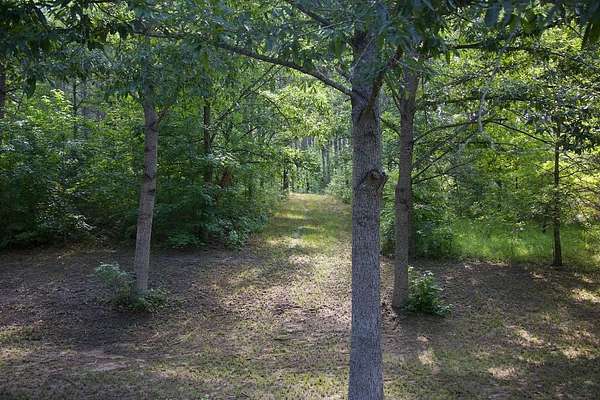 90 Acres of Land with Home for Sale in Waterford, Mississippi