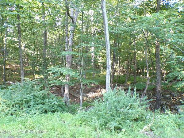 1 Acre of Residential Land for Sale in Canadensis, Pennsylvania