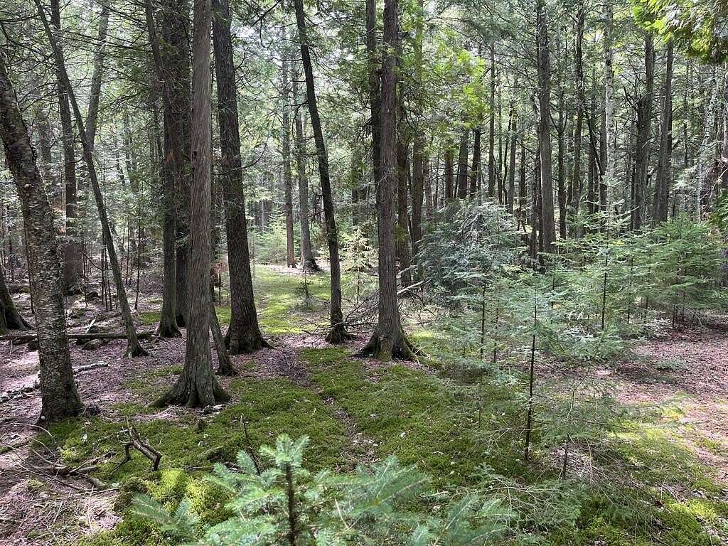 7.5 Acres of Land for Sale in Baileys Harbor, Wisconsin