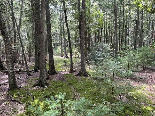 7.5 Acres of Land for Sale in Baileys Harbor, Wisconsin