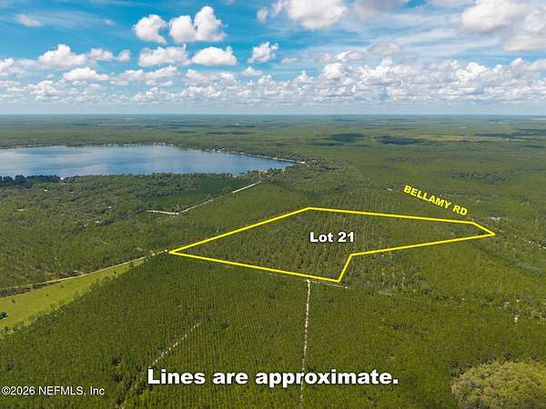 41.2 Acres of Land for Sale in Florahome, Florida
