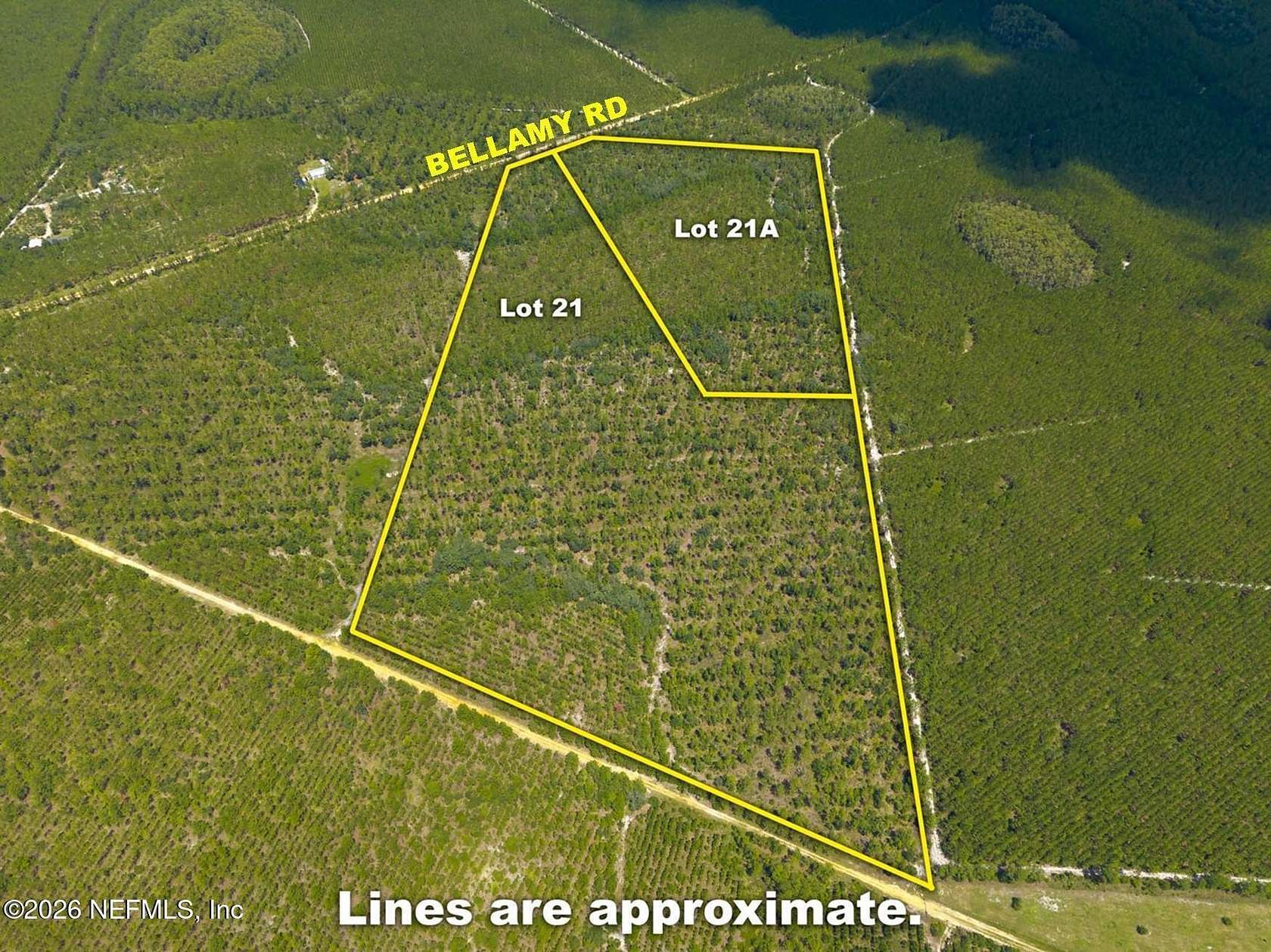 58.2 Acres of Land for Sale in Florahome, Florida